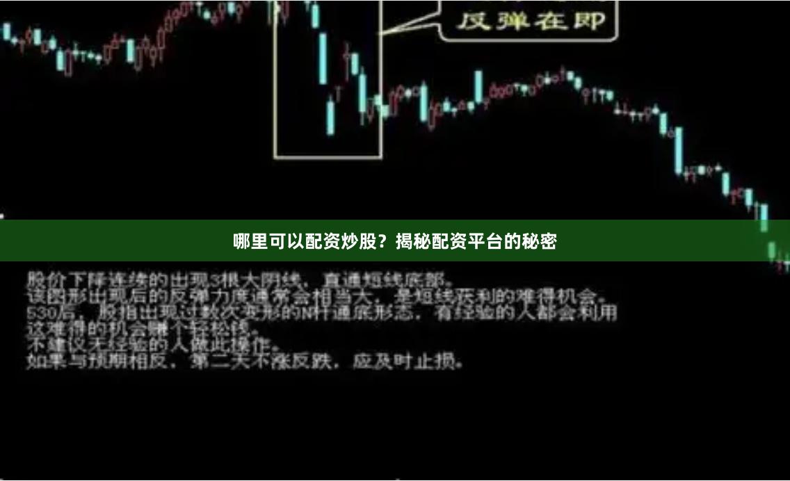 哪里可以配资炒股？揭秘配资平台的秘密